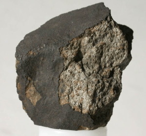 Possil meteorite, Hunterian Museum